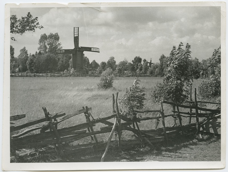 Saaremaa, vaade tuulikutele.