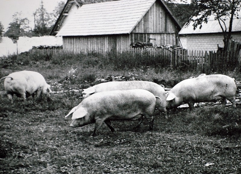 "Järvakandi" kolhoosi remontemised