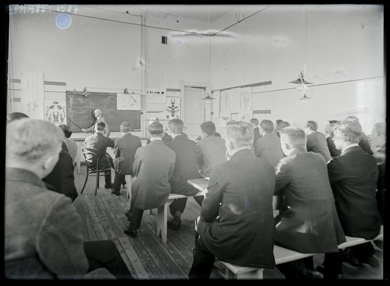 Taimekaitse kursus