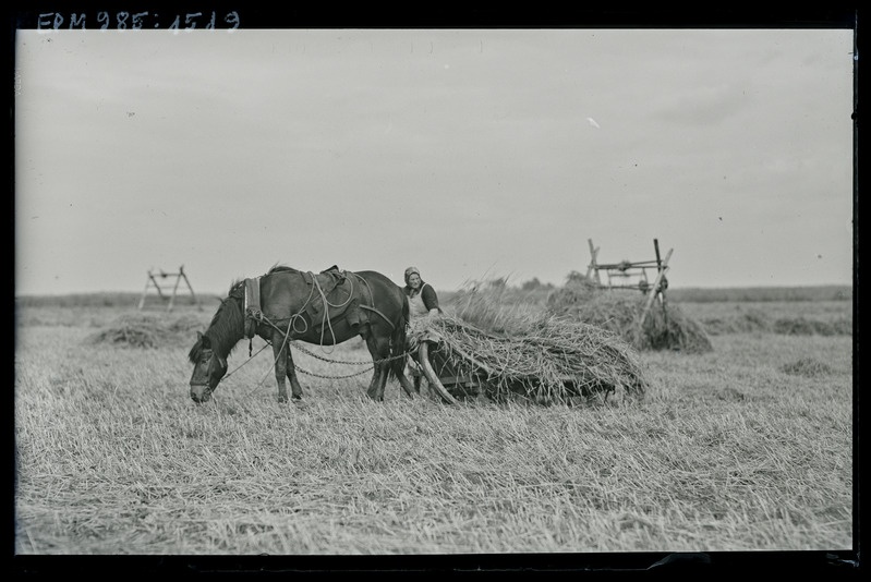 Odra kokkupanek Raadil