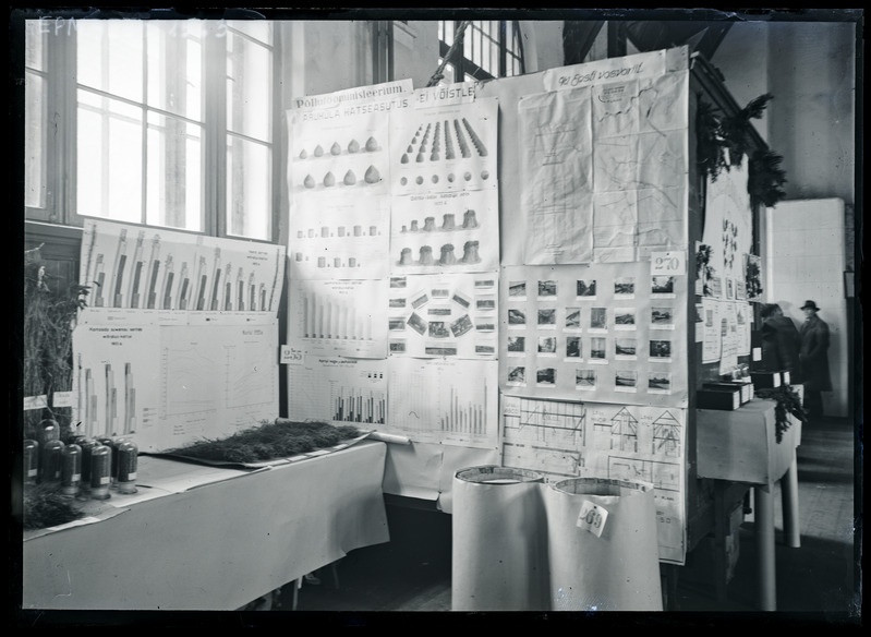 Aruküla väljapanek seemnevilja näitusel