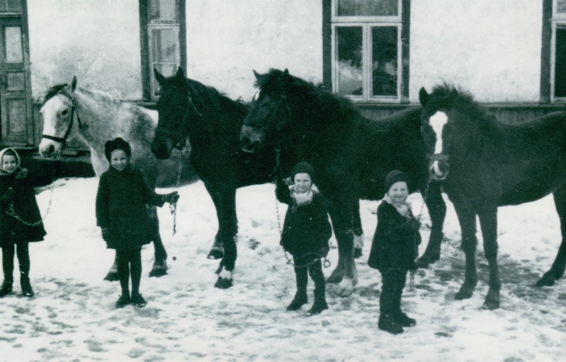 Mässa talu lapsed hobustega