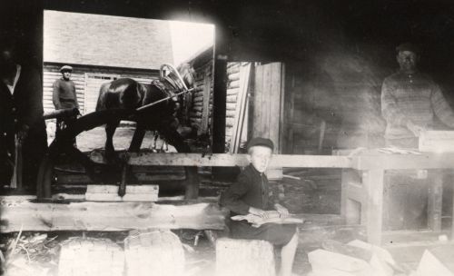 Avinurme Vaino talu hobujõul töötav pilpatööstus.