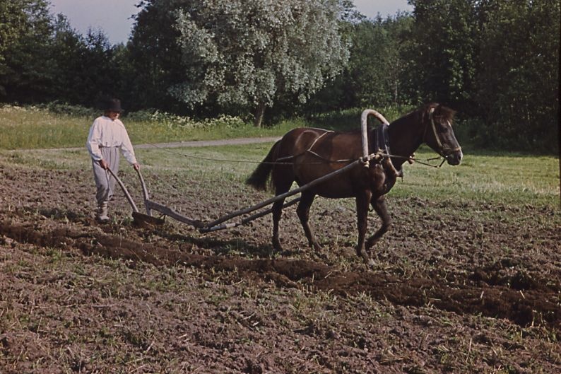Kündmine puidust tiisliga hõlmadraga