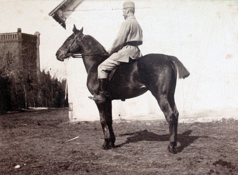 Krahv Fr.Berg hobusel Belisar