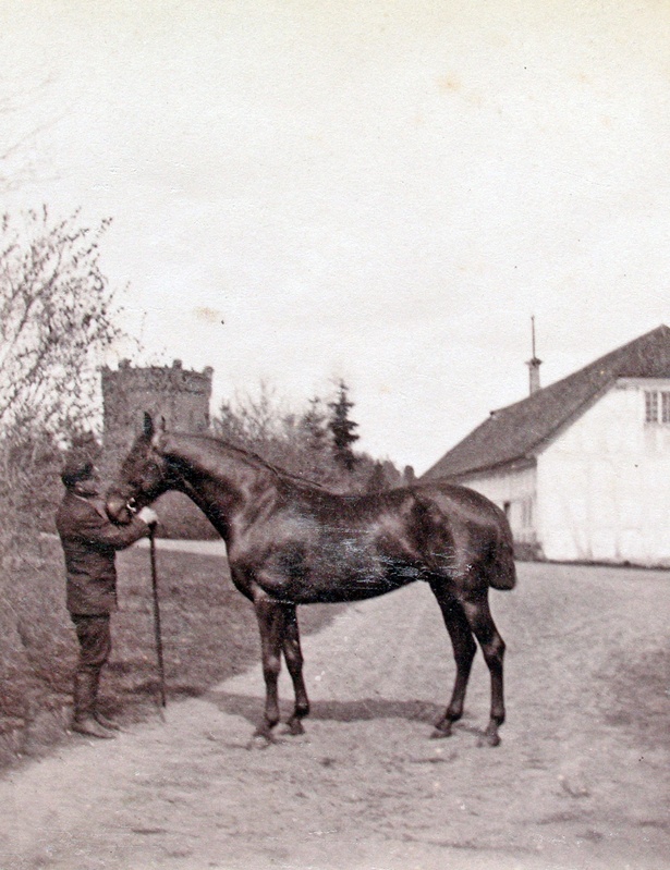 Mees hobusega