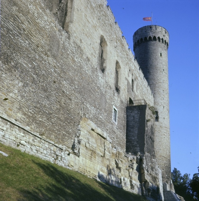 Tallinn. Long Hermann.