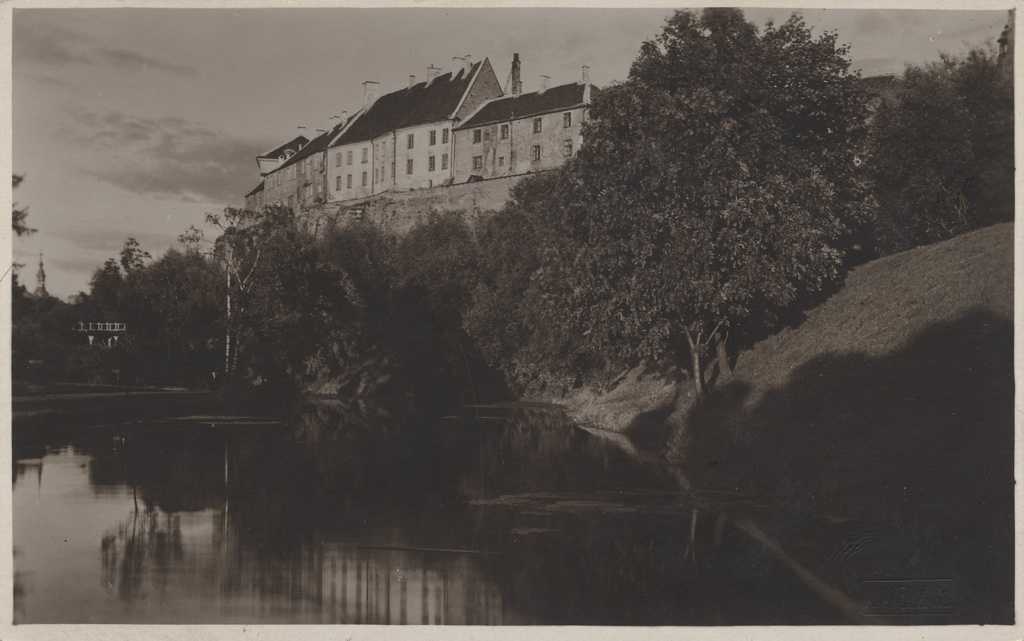[tallinn] : [Snelli tiik]
