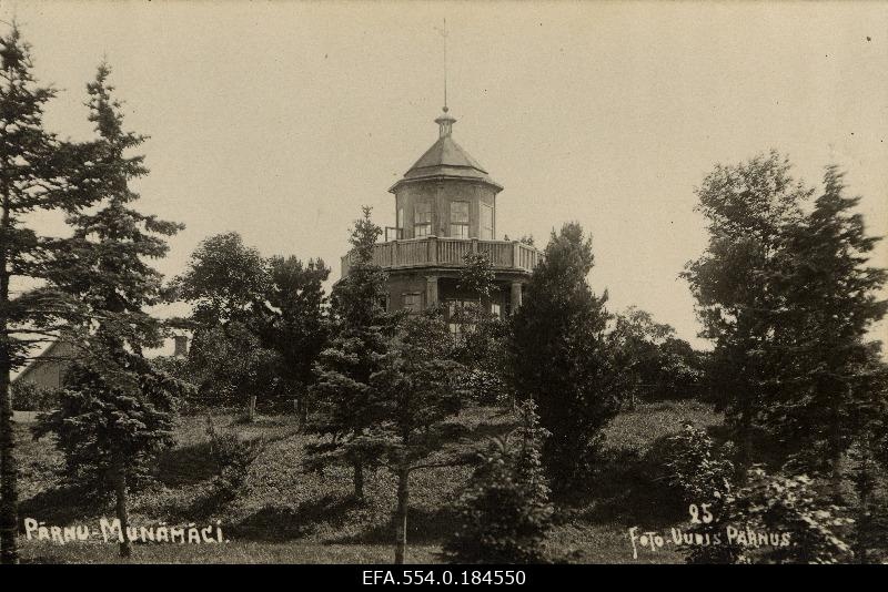 Vaade Pärnu Munamäele, (tellimustöö ajakirjanduskontorile "Uudis").