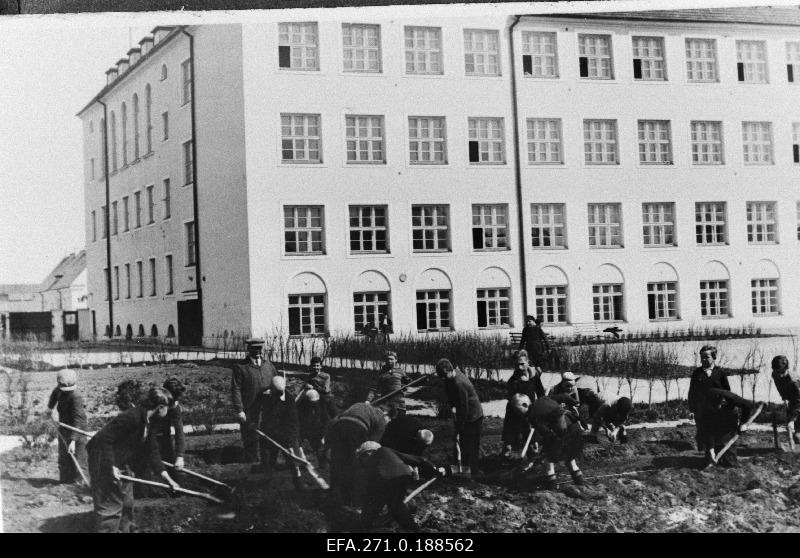 Pelgulinna algkooli 5.klassi õpilased töötamas koolikatseaias.