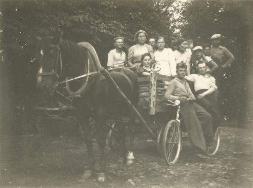 Lehtede vedu pargist 1938.a.