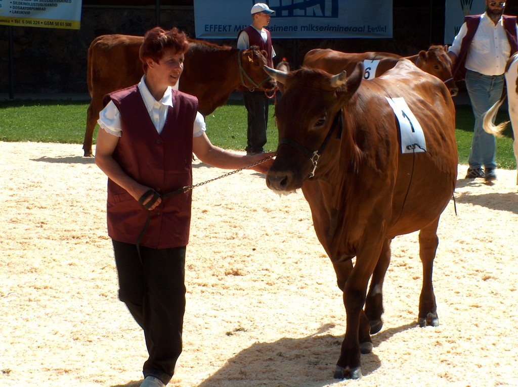 Viss 2005. Krootuse Agro AS lehmik ITI