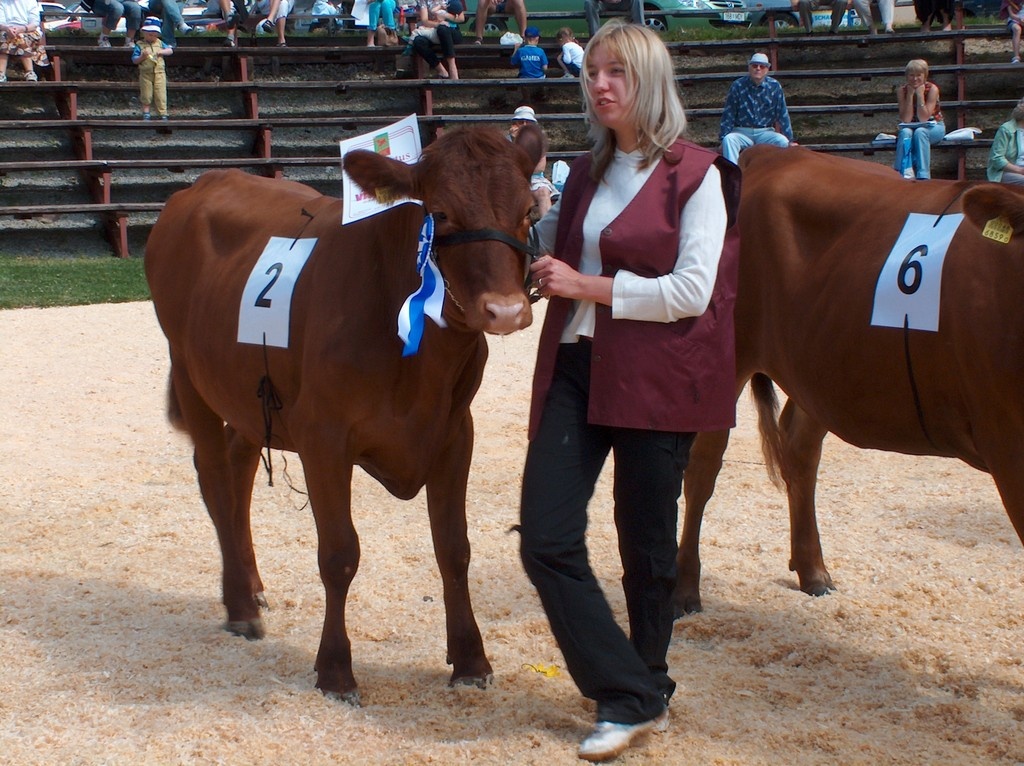 Viss 2005. Autasustamine. Krootuse Agro AS Lehmik IIDOL