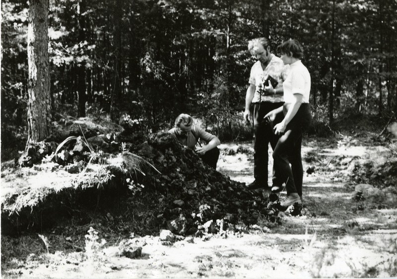 Soomaagi sulatusahi Tõrisel