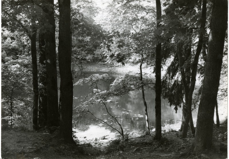 Kaali järv
