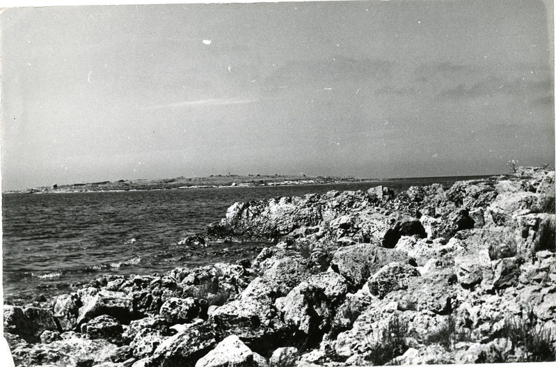 Vilsandi rannik