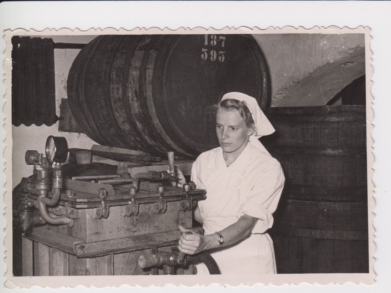 ETKVL Põltsamaa Põllumajanduskombinaadis Helgi Polusk veini filtreerimas