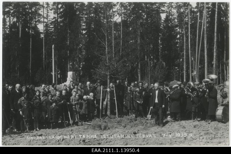 Kindral Laidoneri tamme istutamine Tõrva Vabaduspargis