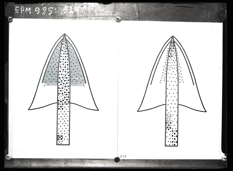 Üraskite dendrogrammid