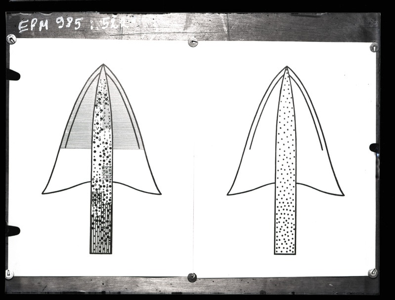Üraskite dendrogrammid
