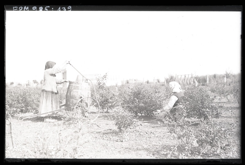 Karusmarja pritsimine