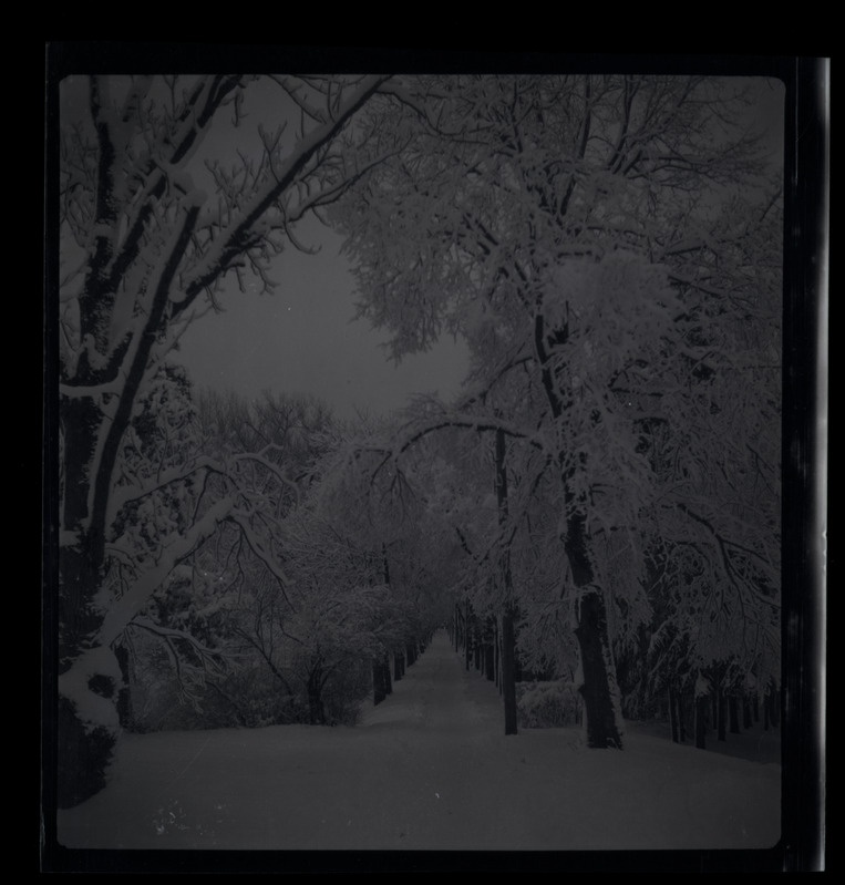 Raadi park ja katsejaamad