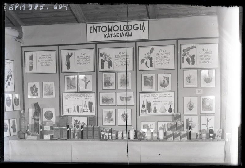 Tartu näitused. Entomoloogia katsejaam