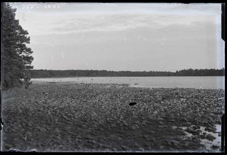 Kuusnõmme Suursilm