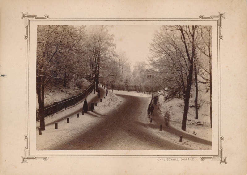 Vallikraavi tänav, vaade Toomemäe poolt. Tartu, 1880-1890.