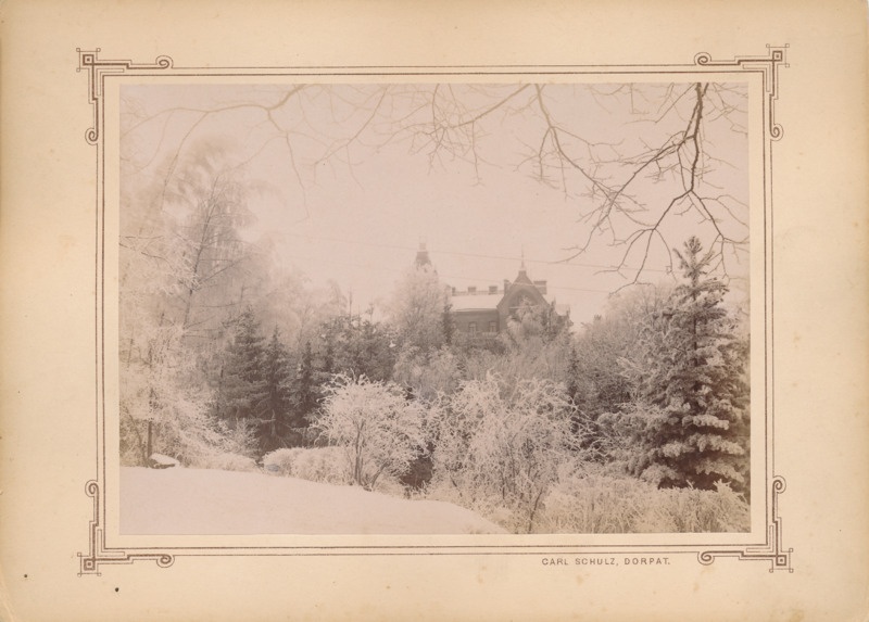 Kassitoome, taga Veski 6. Tartu, u 1890.