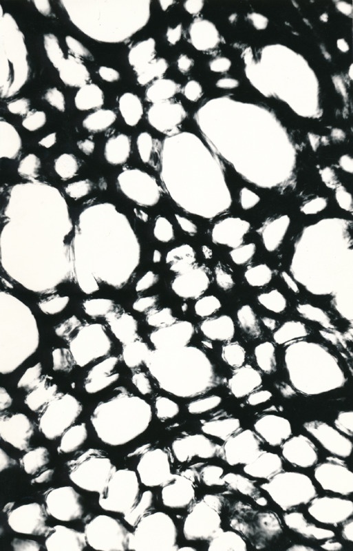 Arheoloogialeid. Tartu Jaani kiriku 1988. a arheoloogiliste uuringute käigus leitud Anna Elisabeth von Münnichi sarkofaagi restaureerimine.