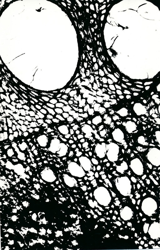 Arheoloogialeid. Tartu Jaani kiriku 1988. a arheoloogiliste uuringute käigus leitud Anna Elisabeth von Münnichi sarkofaagi restaureerimine.