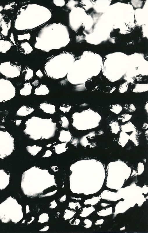 Arheoloogialeid. Tartu Jaani kiriku 1988. a arheoloogiliste uuringute käigus leitud Anna Elisabeth von Münnichi sarkofaagi restaureerimine.