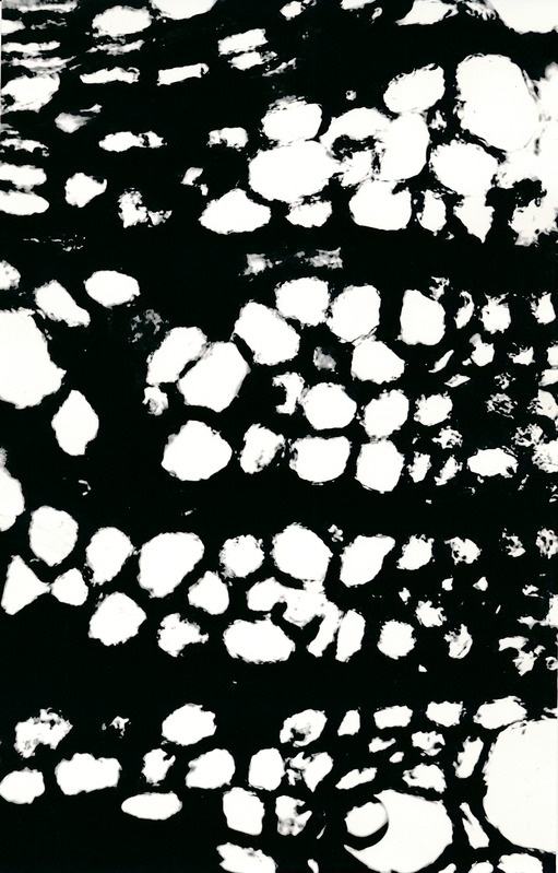 Arheoloogialeid. Tartu Jaani kiriku 1988. a arheoloogiliste uuringute käigus leitud Anna Elisabeth von Münnichi sarkofaagi restaureerimine.