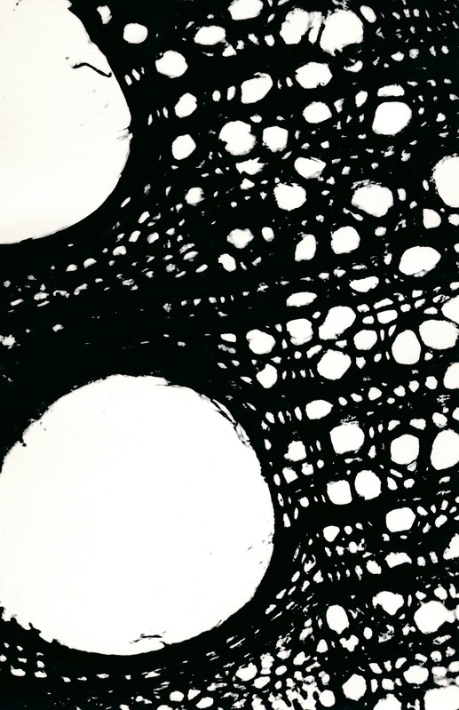 Arheoloogialeid. Tartu Jaani kiriku 1988. a arheoloogiliste uuringute käigus leitud Anna Elisabeth von Münnichi sarkofaagi restaureerimine.