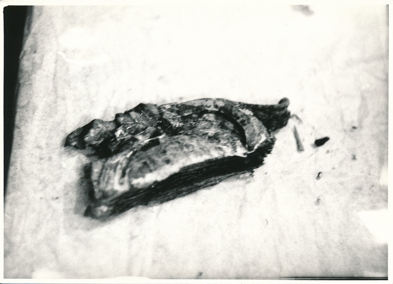 Arheoloogialeid. Tartu Jaani kiriku 1988. a arheoloogiliste uuringute käigus leitud Anna Elisabeth von Münnichi sarkofaagi restaureerimine.