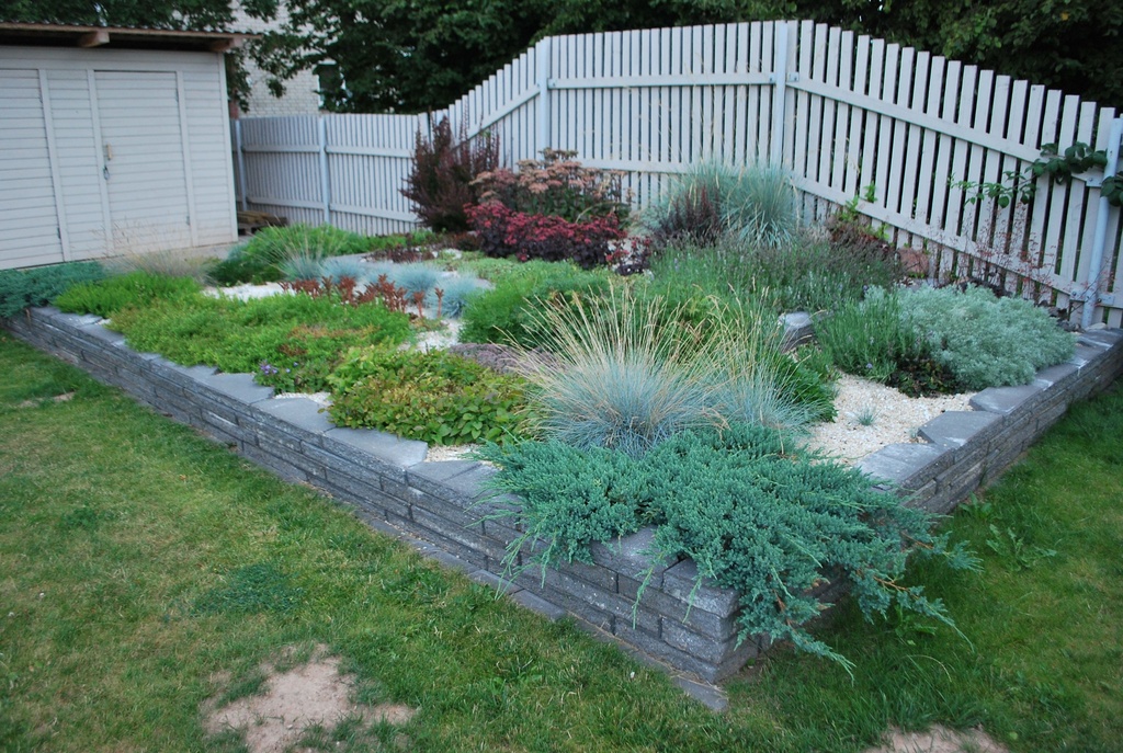 Digifoto. Ridaelamu haljastus, maja esine plats. Tartu, 2011.