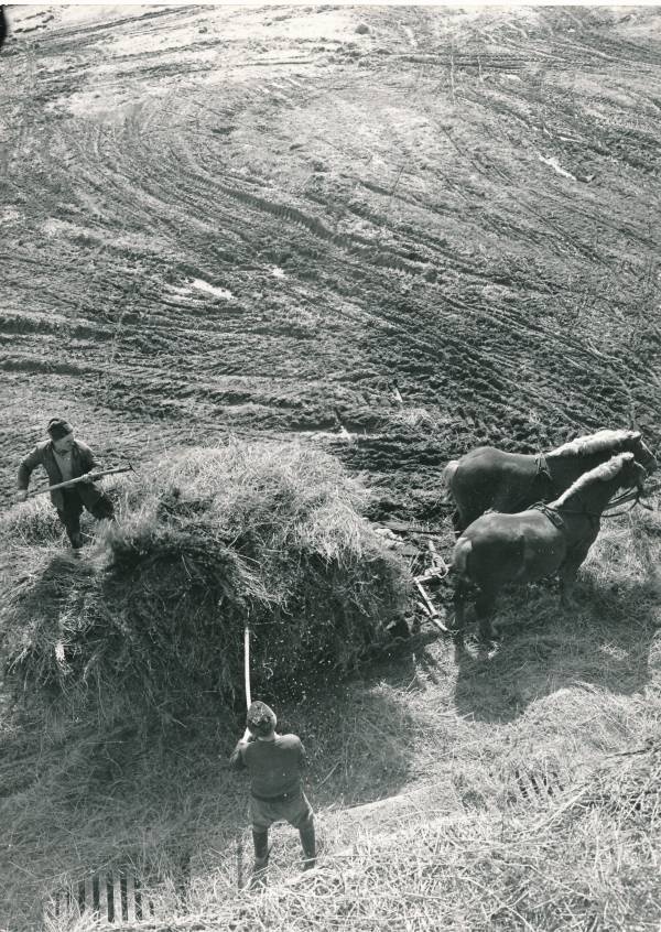 Vaated Ungarist. Foto on kingitud Tartu delegatsioonile, kes osales sõpruslinna Veszprémi vabastamise 30. aastapäeva pidustustel.