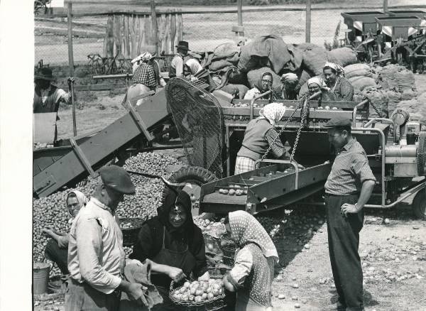 Vaated Ungarist. Foto on kingitud Tartu delegatsioonile, kes osales sõpruslinna Veszprémi vabastamise 30. aastapäeva pidustustel.