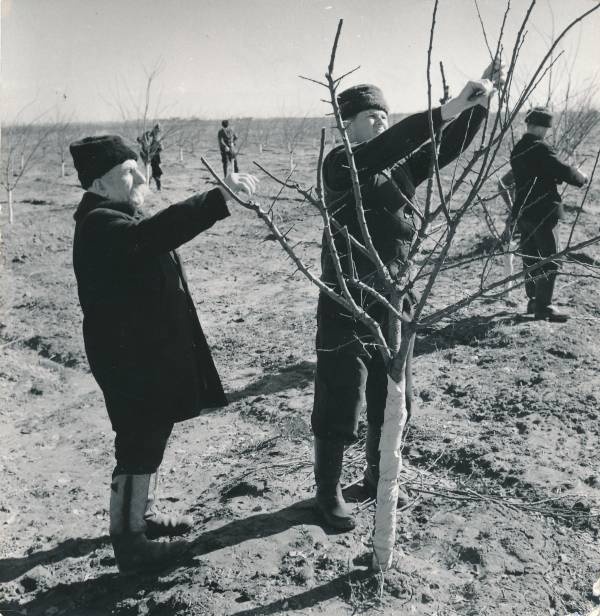 Vaated Ungarist. Foto on kingitud Tartu delegatsioonile, kes osales sõpruslinna Veszprémi vabastamise 30. aastapäeva pidustustel.