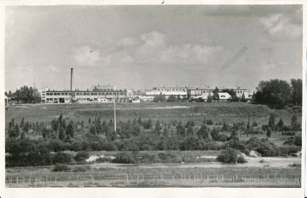 Tartu Konservitehas. Mahlavillimise tsehh. 1970ndatel.