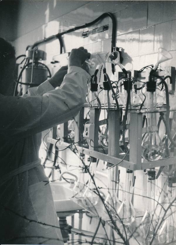Eesti Metsamajanduse ja Looduskaitse Teadusliku Uurimise Instituut. Laboratoorium. 1976.a.