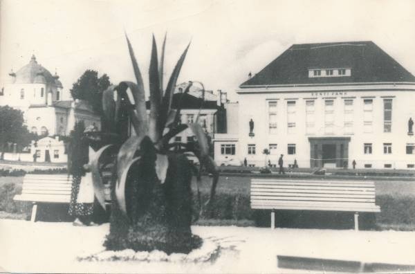 Fotokoopia. Haljasala Tartus Emajõe ääres.