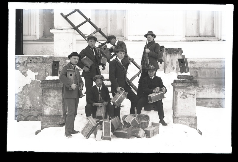 Kuldnoka (Sturnus vulgaris) pesakoobaste ülesseadjad Raadil