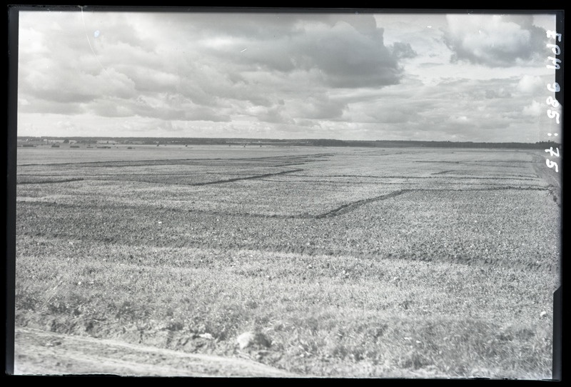 Rukkiussi hävitustöö rukkiorasel