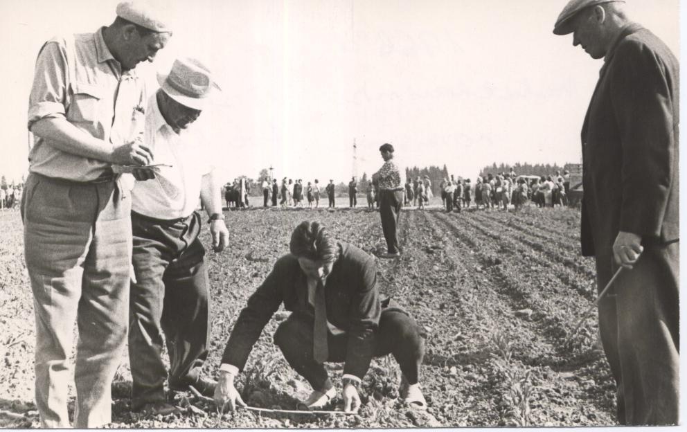 1966.a. vaheltharimise võistluse komisjon töötamas