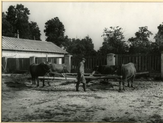 Pullide sundjalutamise seadeldis