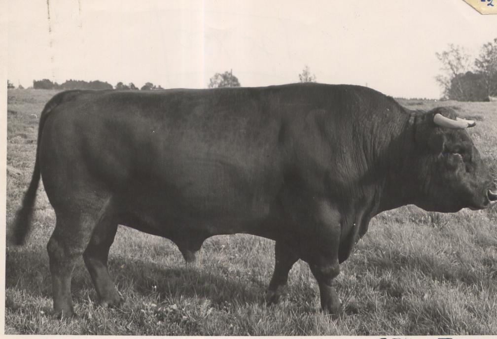 Viljandi Kunstliku Seemenduse Jaama pull Uural