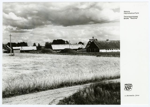 Kehtna Näidissovhoostehnikumi Kokuta reproduktorfarm