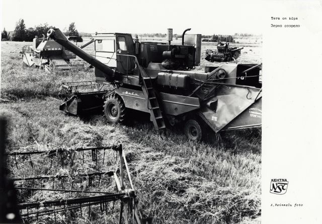 Kehtna Näidissovhoostehnikumi põllul küpseb vili